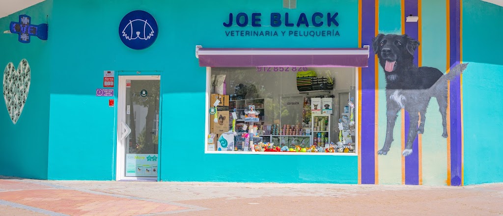 Joe Black Clinica Veterinaria