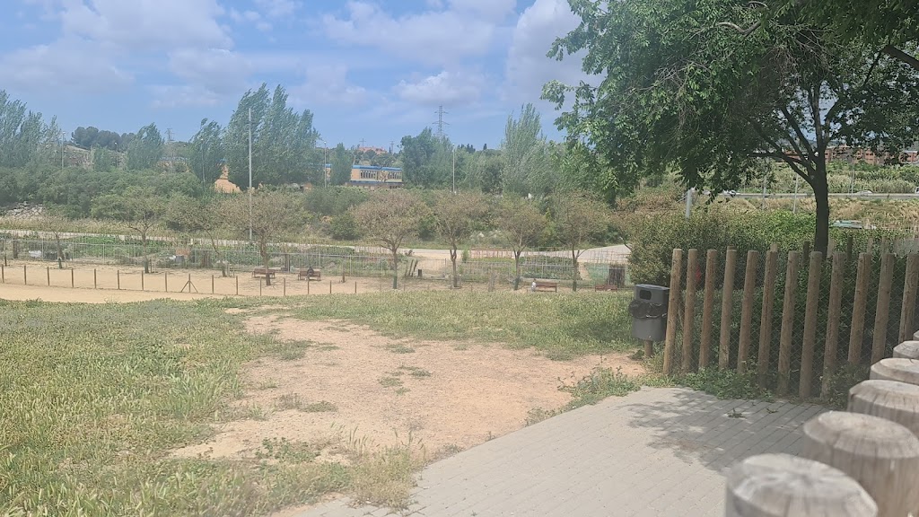 Pipi-Can Muntsa La Chunga