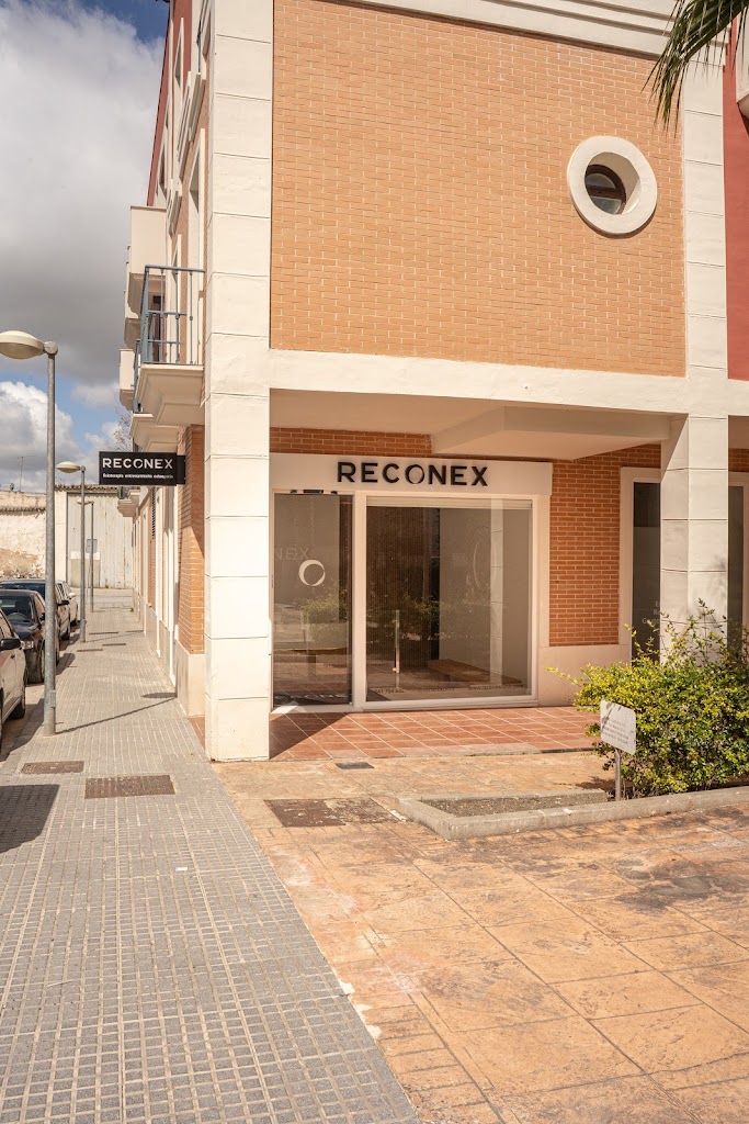 RECONEX clinic