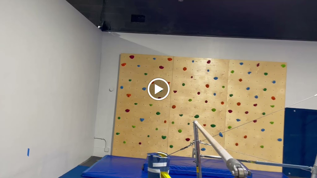  Michigan Academy of Gymnastics