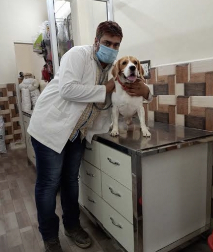 Dr. Dr Dheeraj Pets Clinic Surgery Centre Pet Clinic In Paschim Vihar Pet Surgery In Paschim Vihar