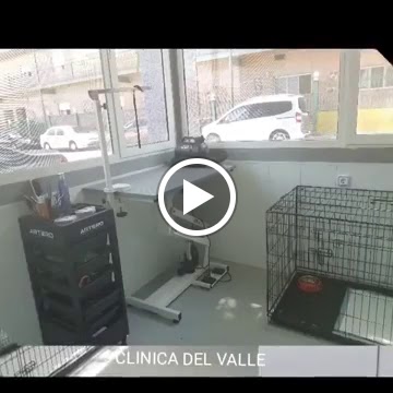Clinica Veterinaria Del Valle — Videos
