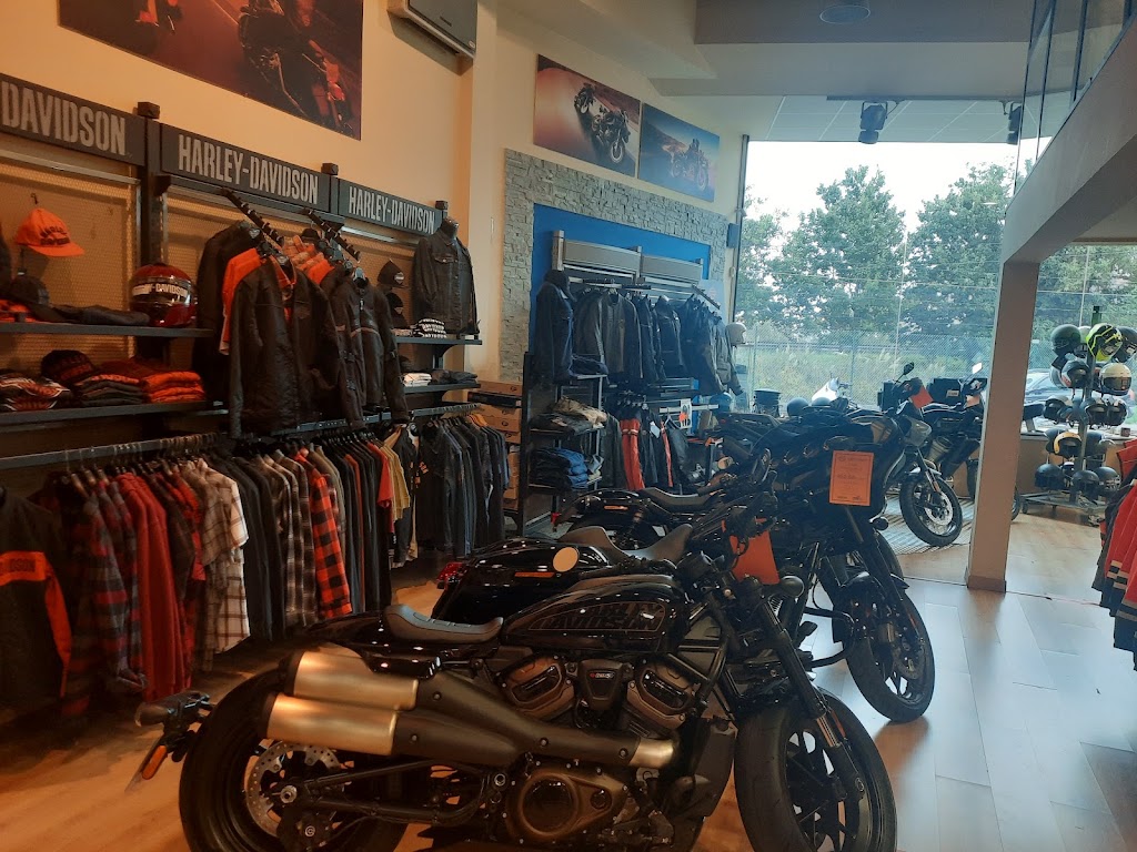 Cantabria Harley-Davidson — Chopper