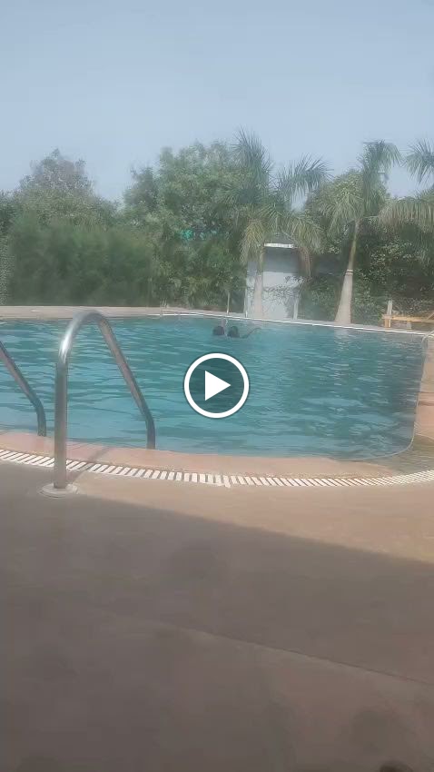 Videos