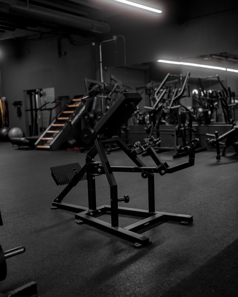  Infinite Training Systems