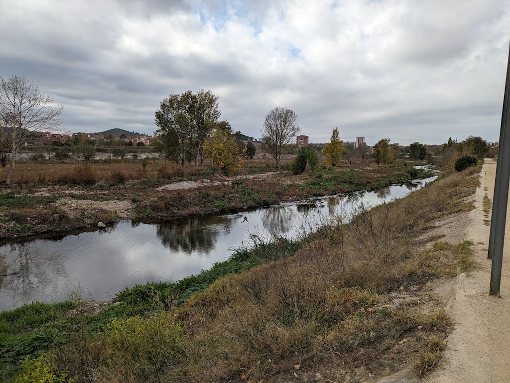 Camino del Rio - Eje del Ripoll