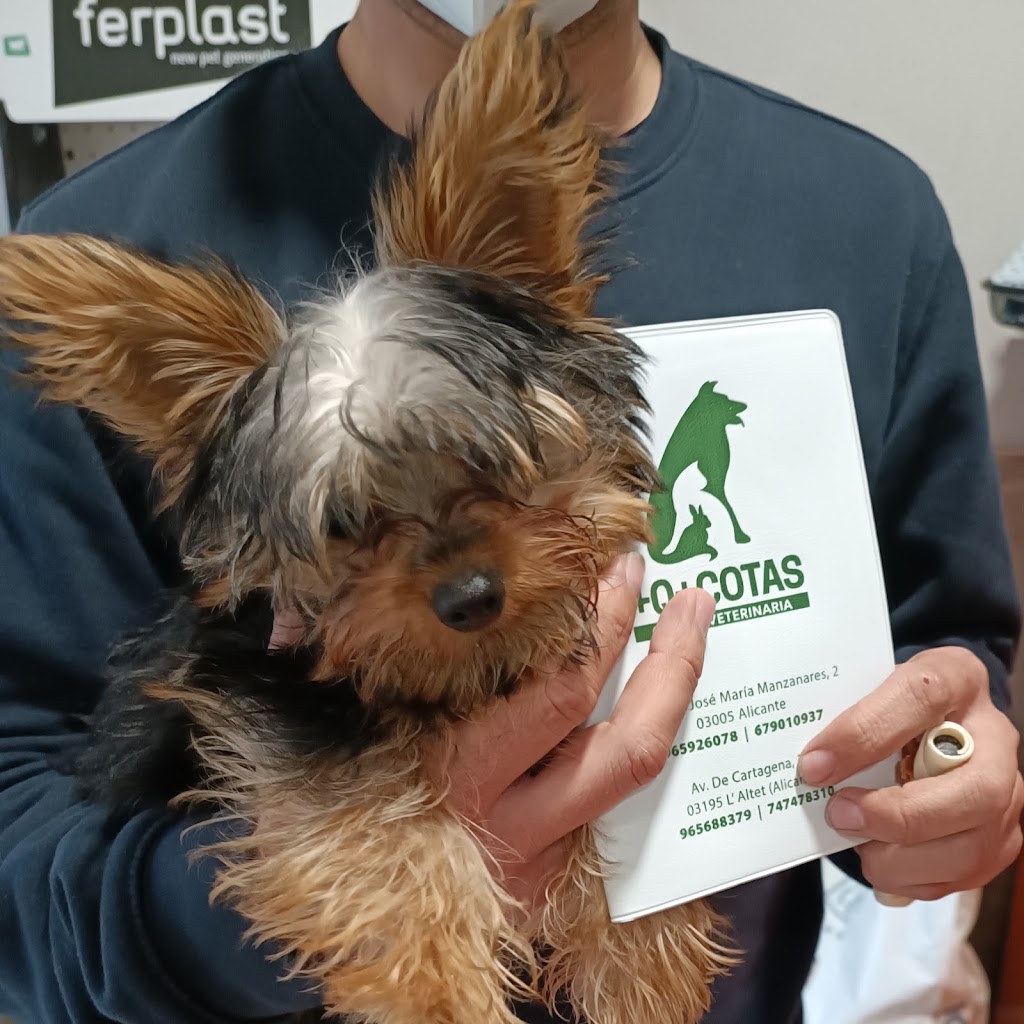 Clinica Veterinaria Mas que Mascotas El Altet — Del propietario