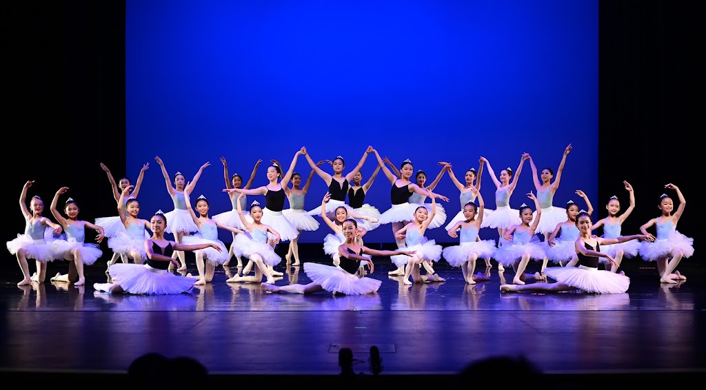  Bay Dance Collective