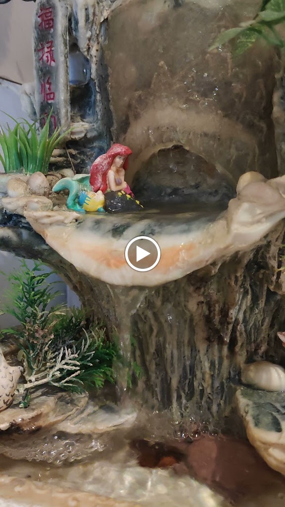 Videos