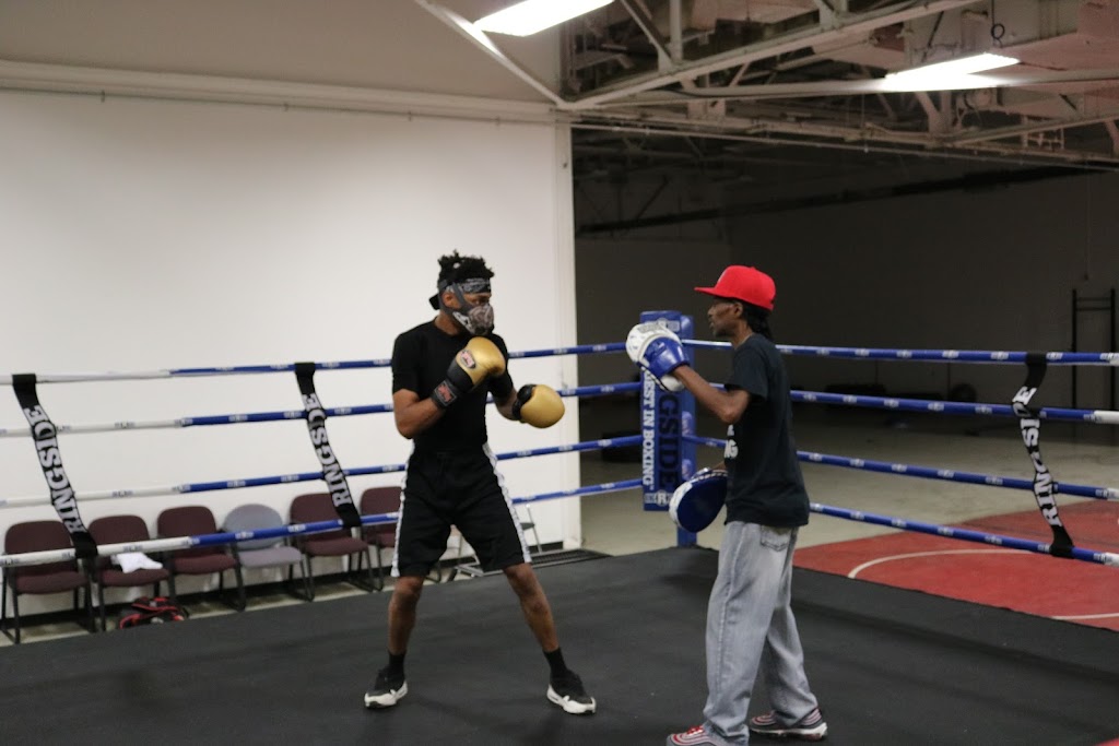  Nasty Knuckles boxing