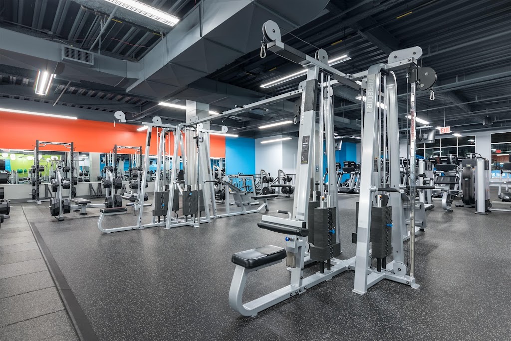  Blink Fitness (PureGym)