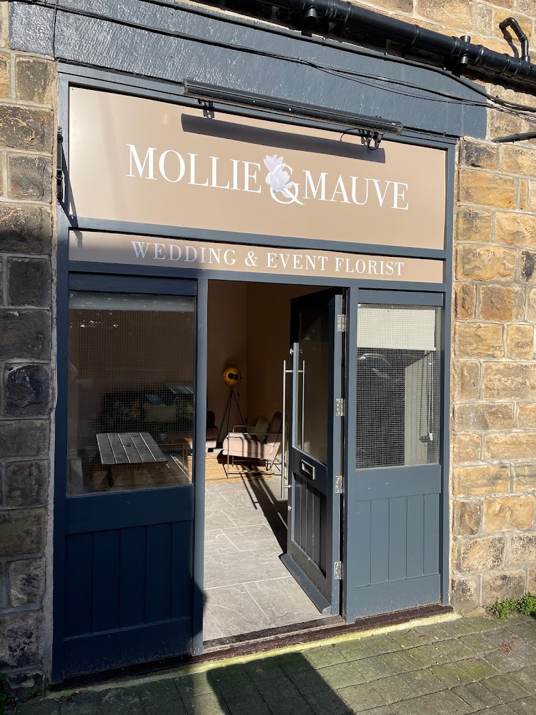 Mollie & Mauve