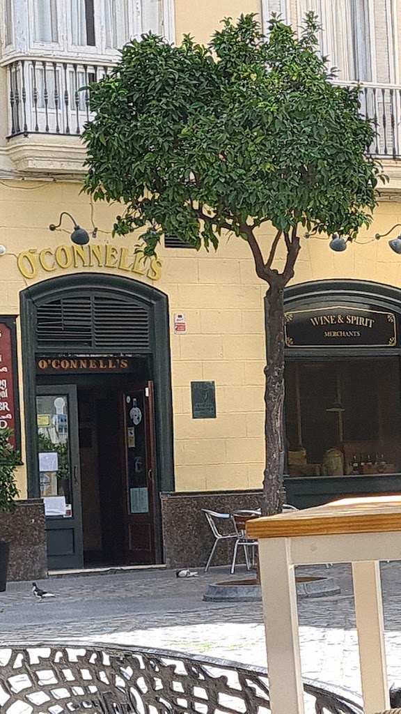 Pub O'Connell's