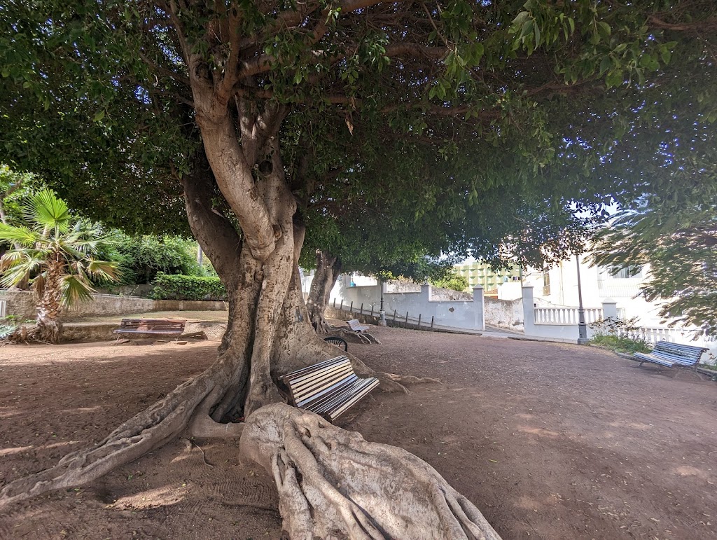 Plaza Joaquina Viera y Clavijo