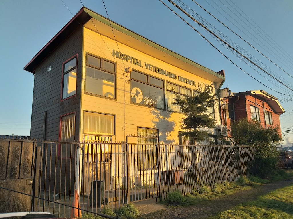 Hospital Clinico Veterinario UST en Puerto Montt