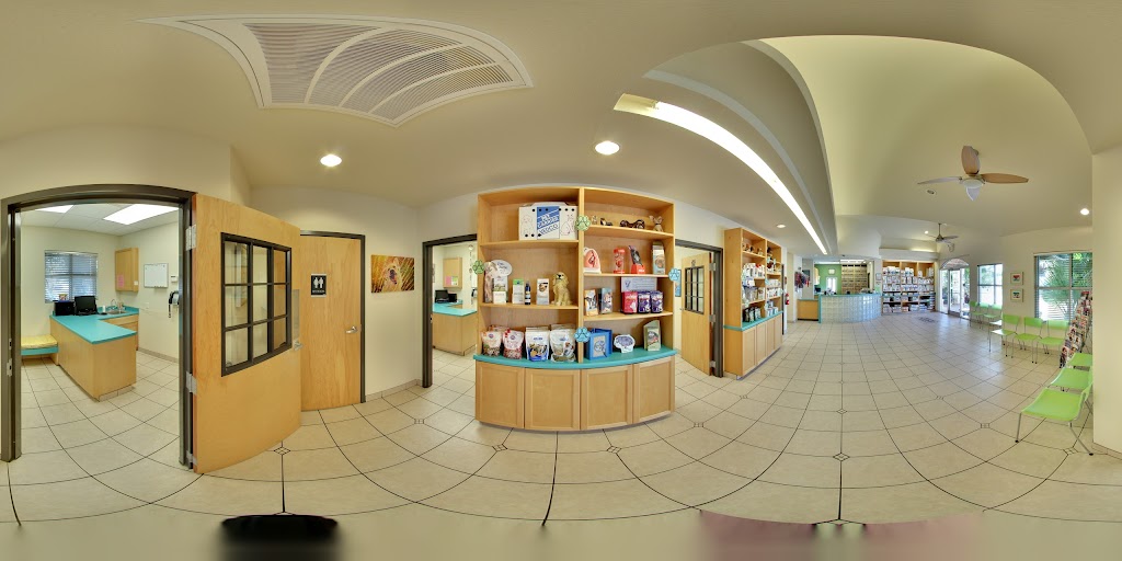 Street View y 360°