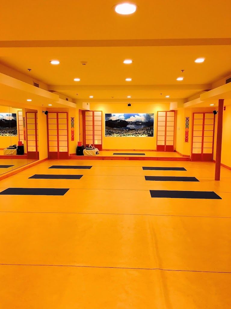  Body & Brain Yoga Tai Chi