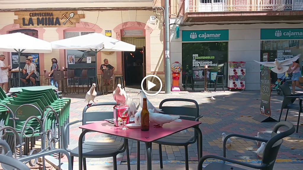 Cerveceria La Mina — Ambiente