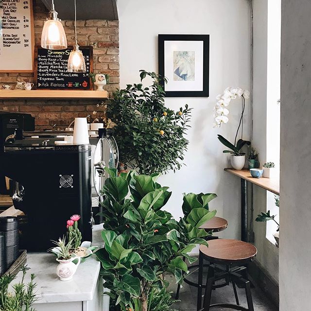 Photo of Remi Flower & Coffee