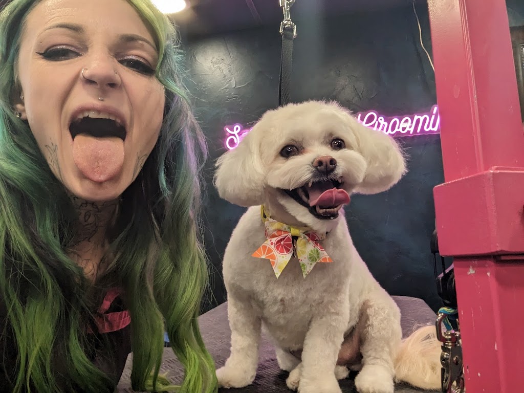 Pet groomer in Kearns