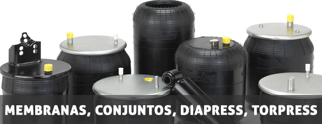 Asj Frens i Recanvis s.l.u