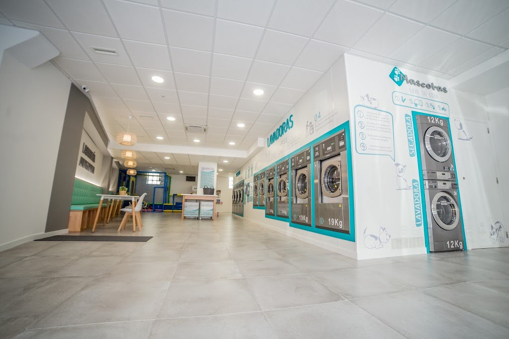 Lavanderia autoservicio Branco Puro