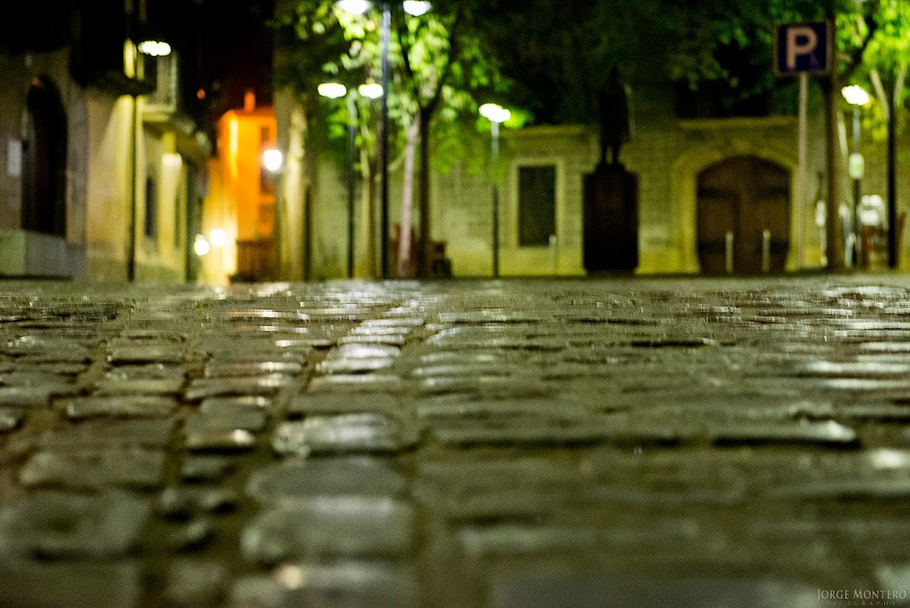 Departamentos de Servicios Casa Bojons