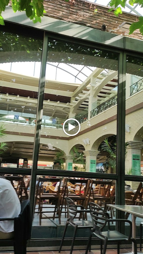 Cafeteria Montroig — Videos