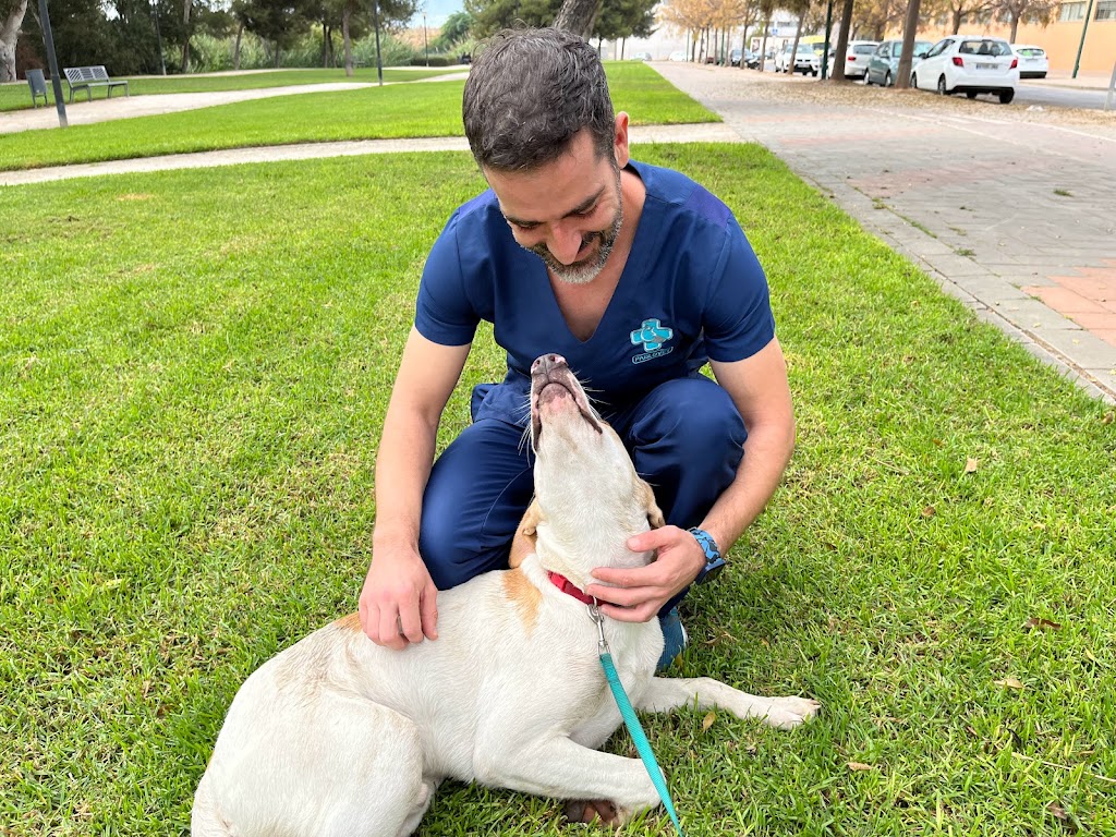 Pablo Vet — Del propietario