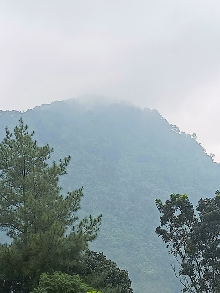 Arsyayidin Family Camp Ground