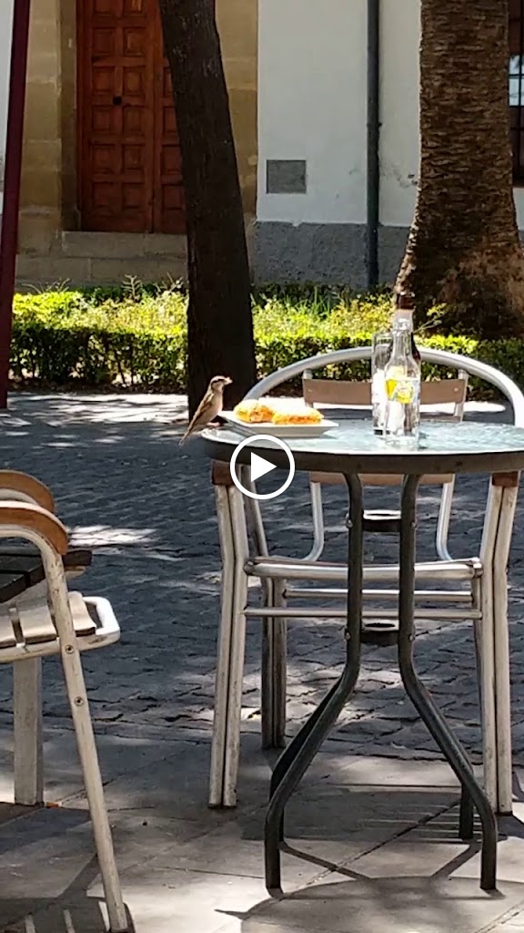 Cafeteria Taperia el Mirador — Ambiente