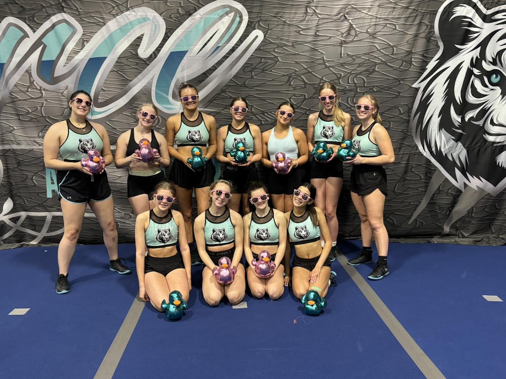  FIERCE ALL STARS