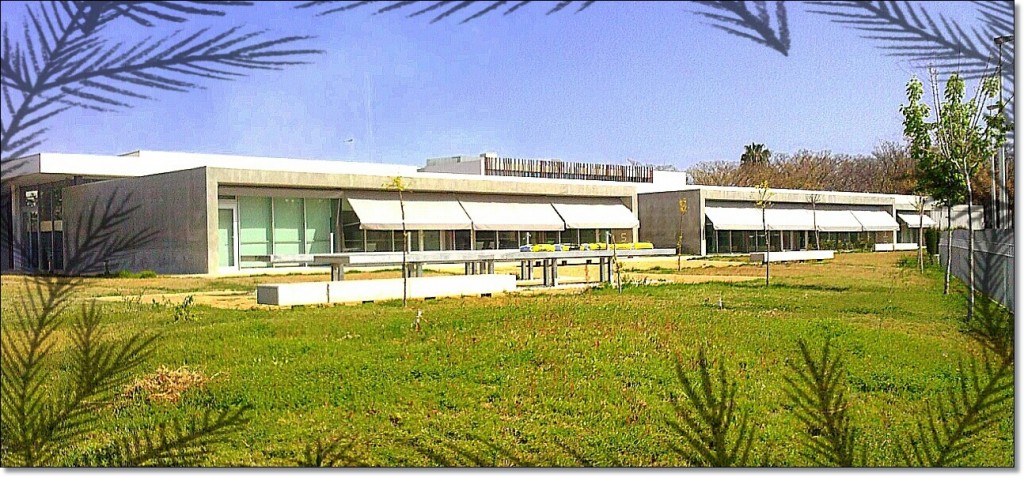 Asociacion de Familiares de Personas con Alzheimer de Elche