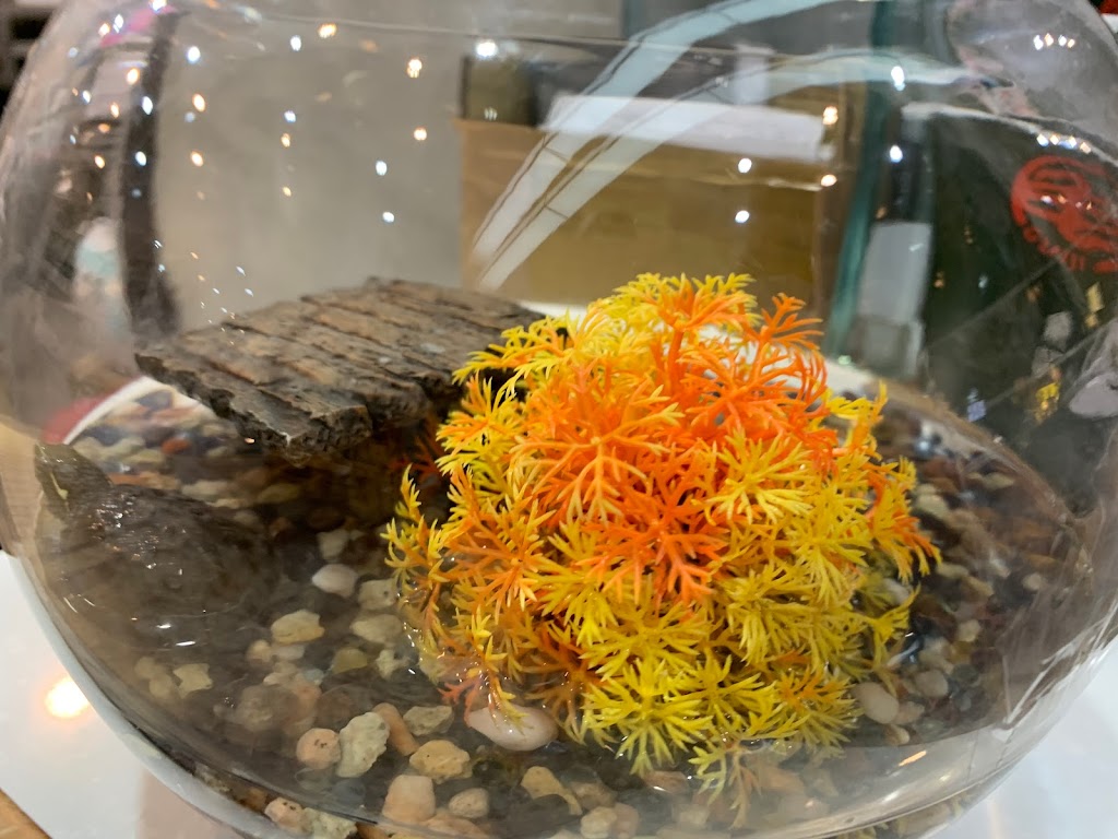 龜記茗品-桃園南崁店 的照片