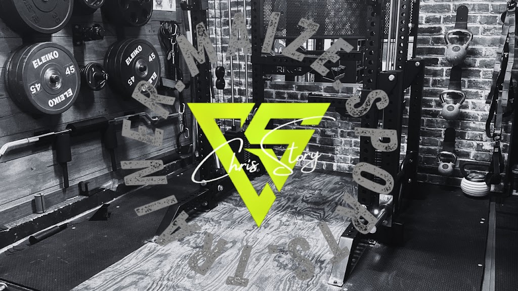  The Maize Sports Trainer