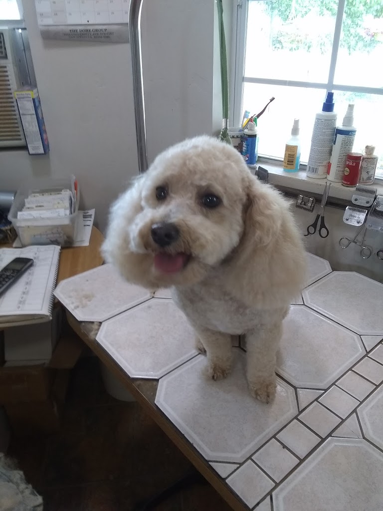 My Dogs Heaven - Dog Grooming Services in Tooele