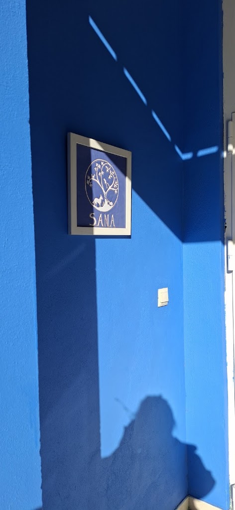 Sanitat Animal d'Alboraia Veterinaria — Mas recientes