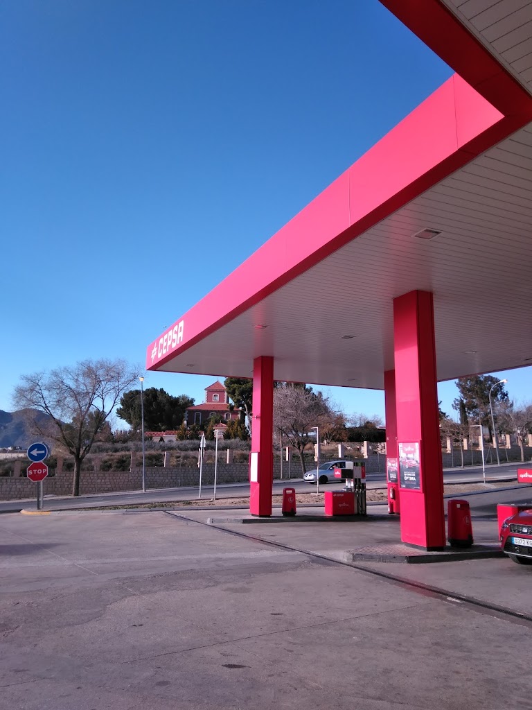 Estacion de servicio Cepsa — Surtidor de combustible
