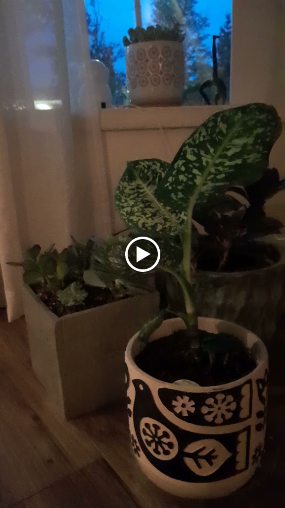  Life in the Body : Pilates, Yoga, Energy Tuning, Meditation