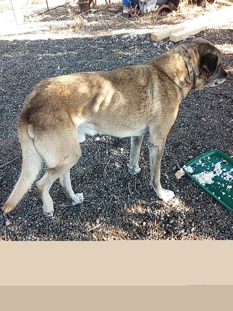 Foto da avaliação