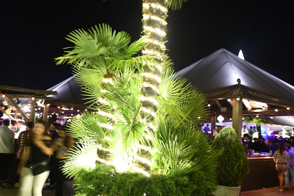 Les Carpes ViG Estiu