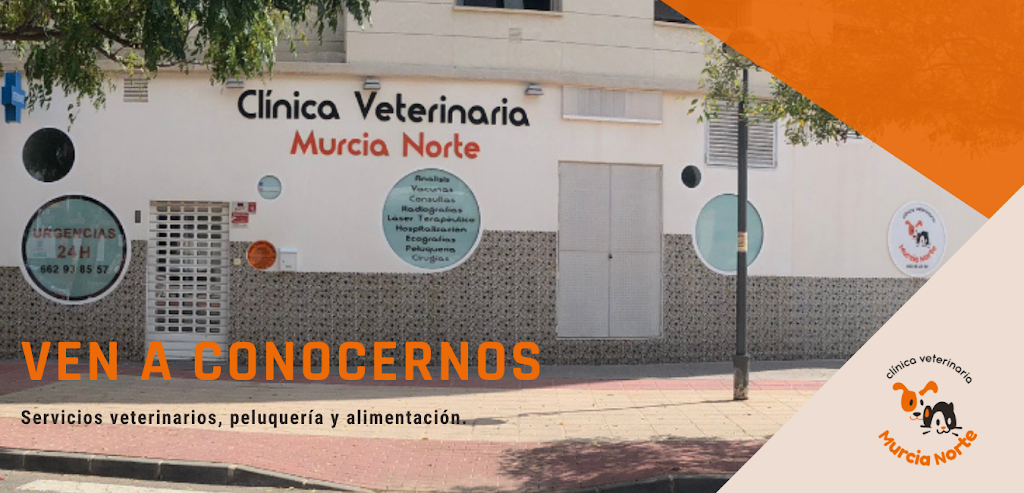 Clinica Veterinaria Murcia Norte