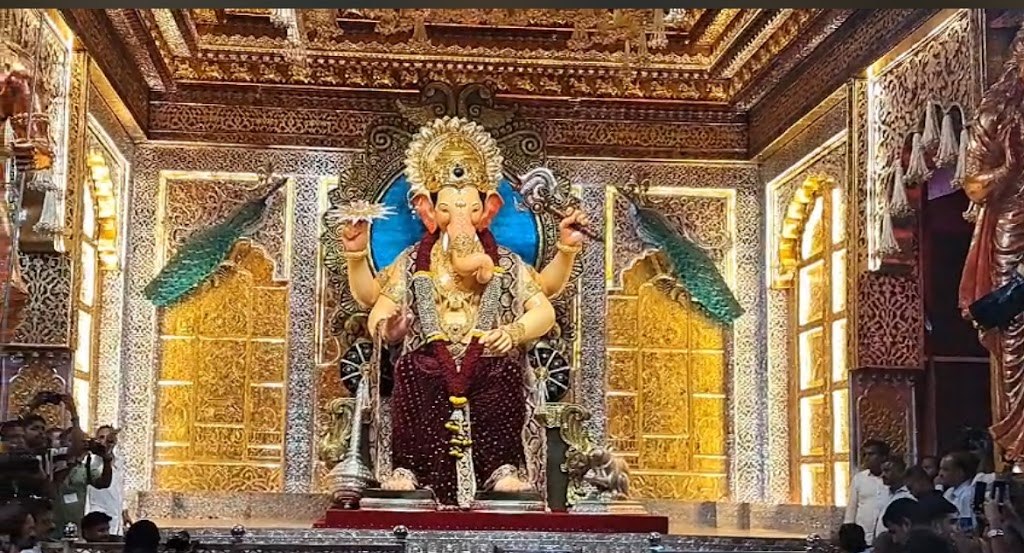 Signate Salon Male Female