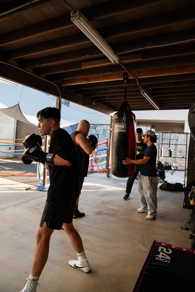  The Yard Boxing Club