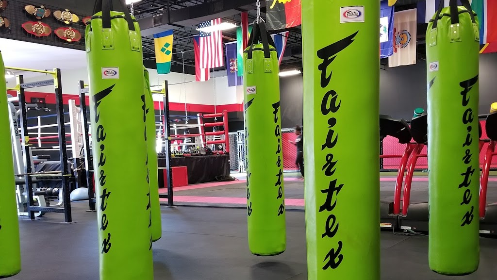  Elite Muay Thai & Fitness