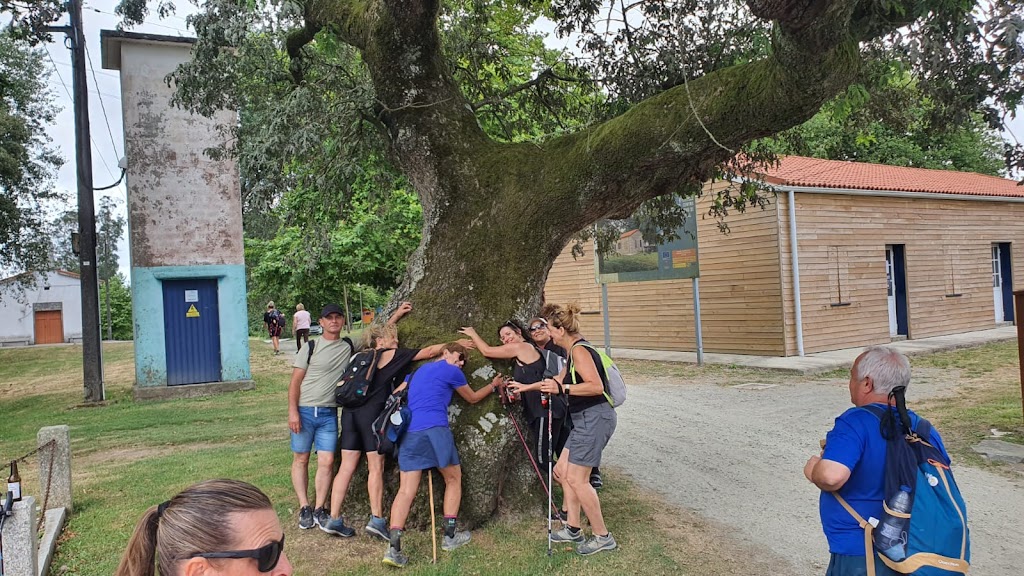 Viajes Travel-Ocio JC