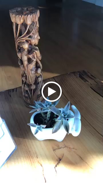  One Yoga Planet Vero