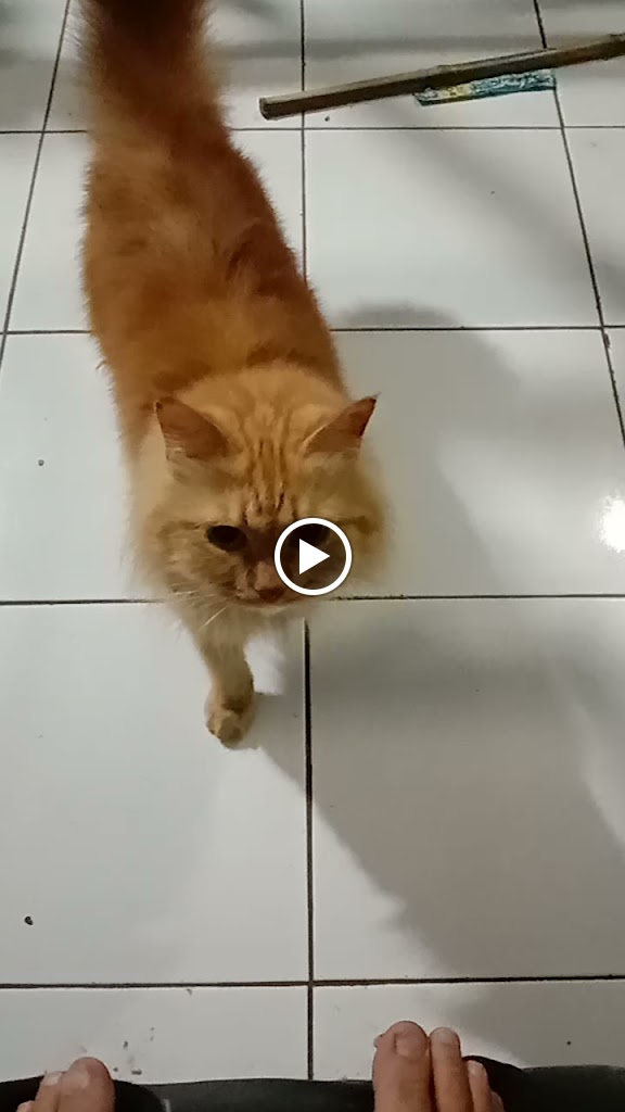 Bengkel Cimalim Jaya