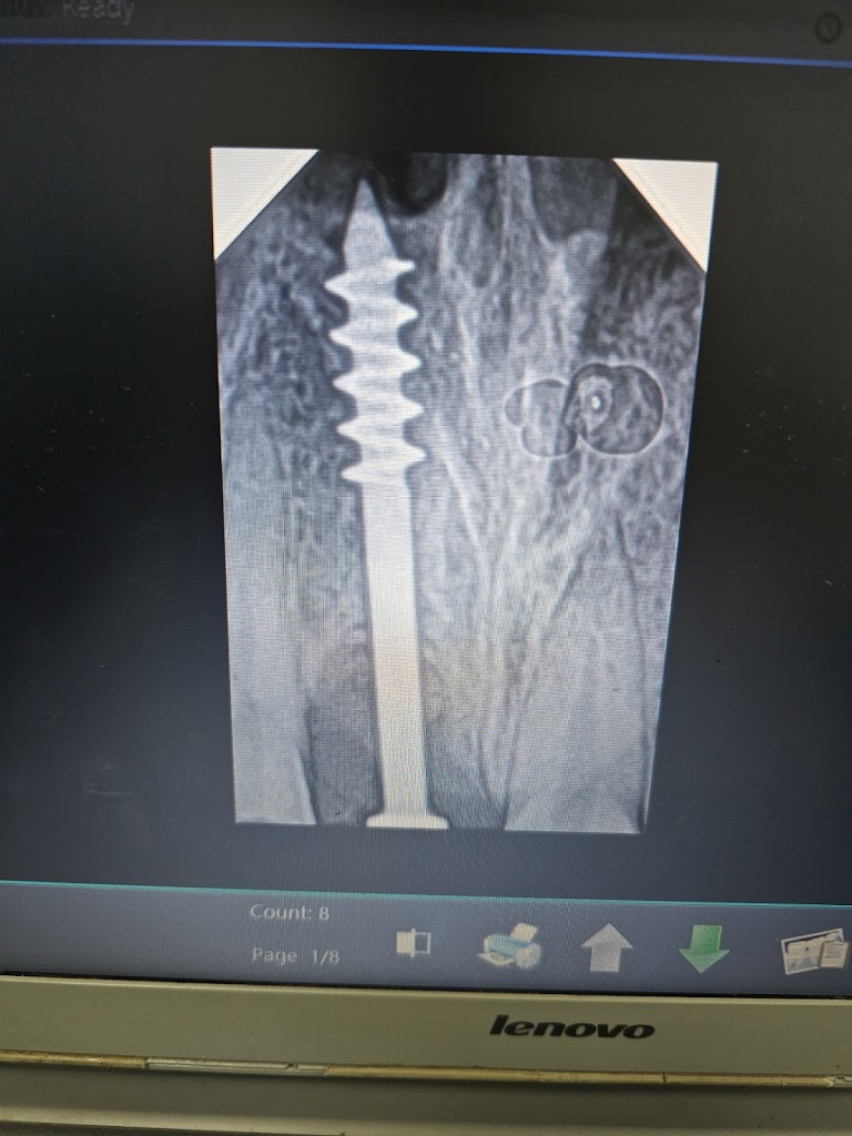 Dr. 32 Smile Dental Care