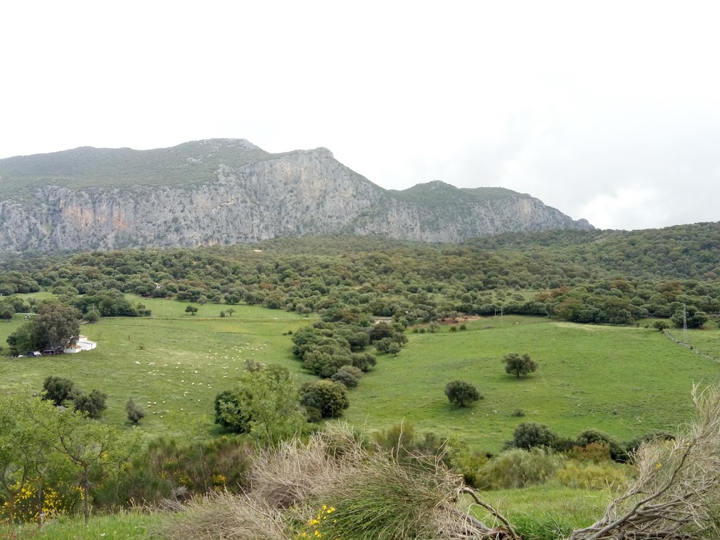 Telepizza Ubrique - Comida a Domicilio — Visitas guiadas al yacimiento arqueologico Ocuri (Ubrique)